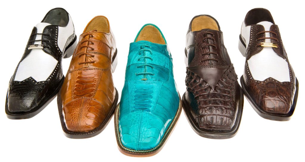 Five dress shoes in contrasting colors on white